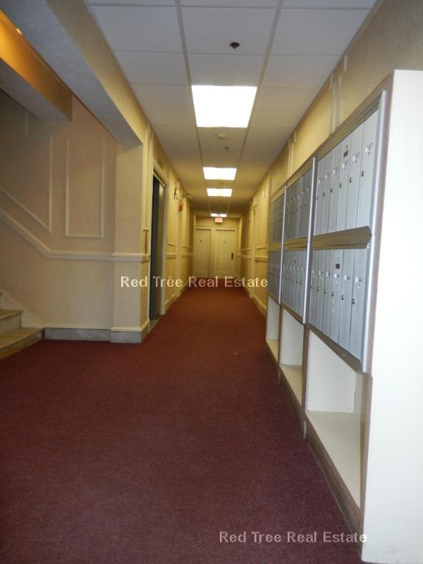 1800 Commonwealth Ave, Brighton