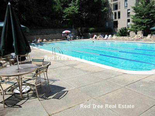 Studio bed, 1 bath apartment for rent at 44 Washington St Unit 316, Washington Square — photo 9 of 23