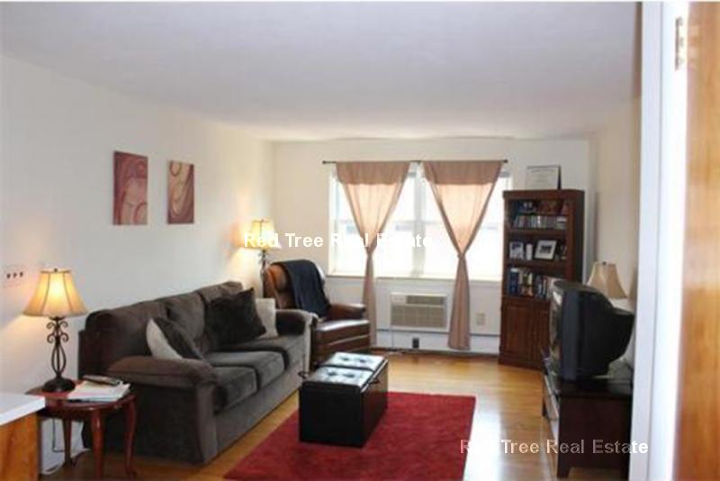 8 Commonwealth Ct, Brighton