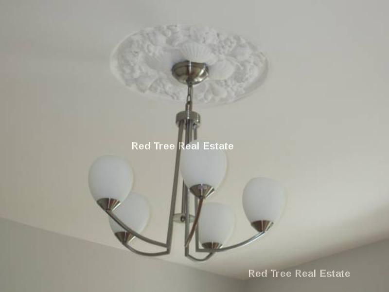 18 Clary St, Inman Square