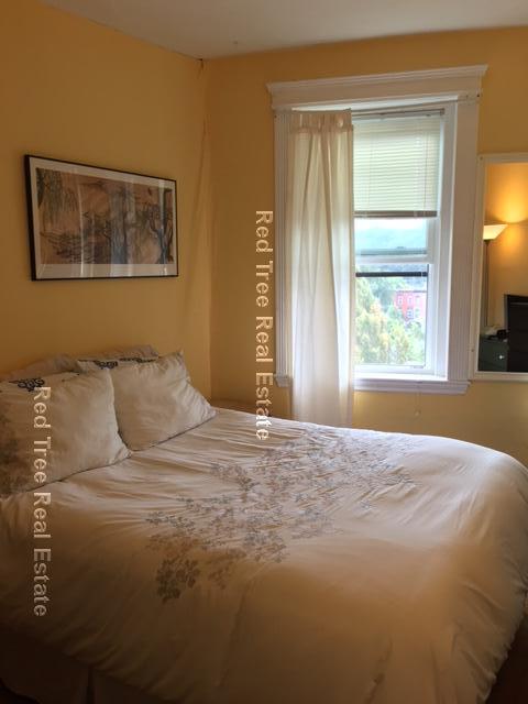 31 Orkney Rd, Brighton