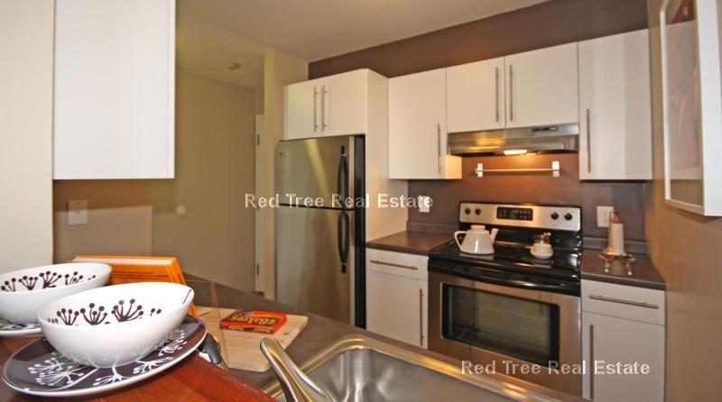 2 bed, 1 bath apartment for rent at 1220 Adams St Unit 20217, Dorchester — photo 2 of 5