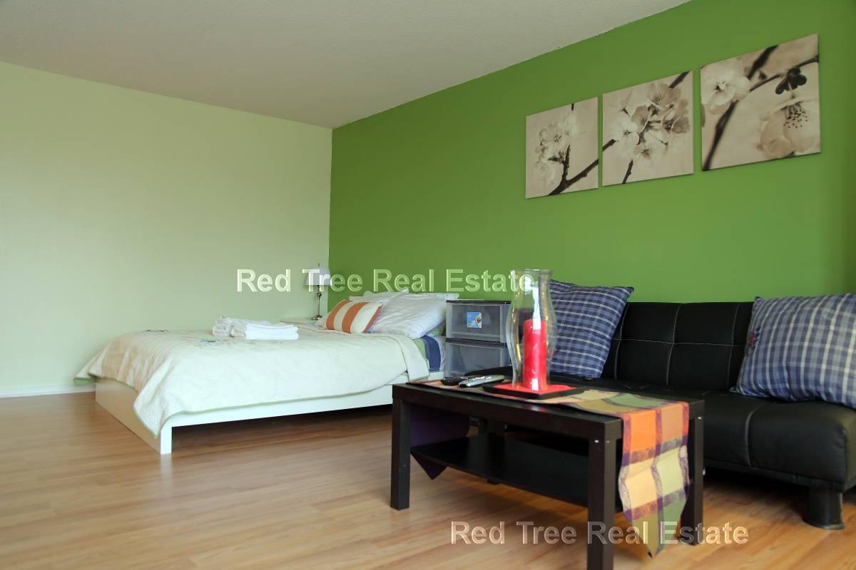 Studio bed, 1 bath apartment for rent at 44 Washington St Unit 506, Brookline — photo 2 of 26