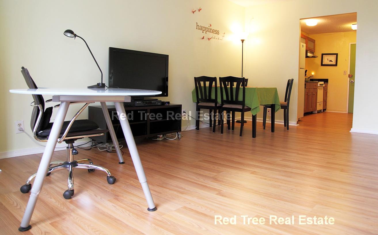Studio bed, 1 bath apartment for rent at 44 Washington St Unit 506, Brookline — photo 8 of 26