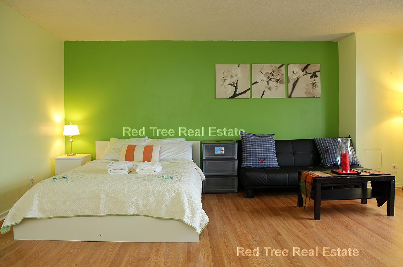 Studio bed, 1 bath apartment for rent at 44 Washington St Unit 506, Brookline