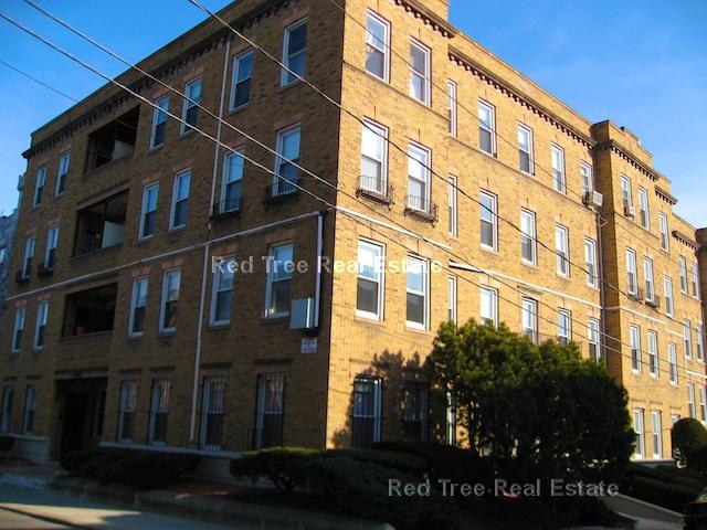 8 Vinal St, Brighton