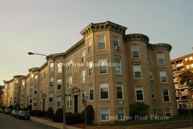 11 Mount Hood Rd, Brighton