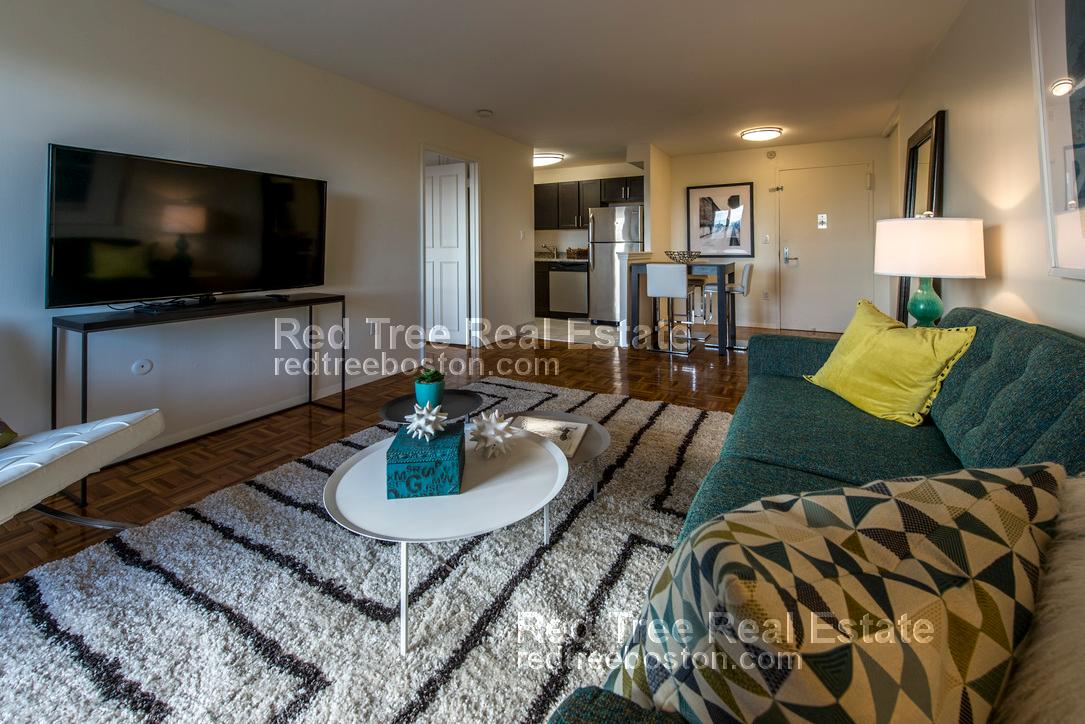 2 bed, 1.5 bath apartment for rent at 175 Freeman St Unit 416, Brookline — photo 2 of 8