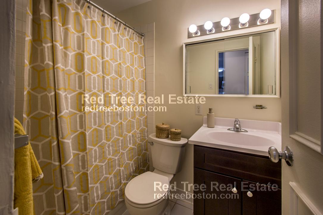 2 bed, 1.5 bath apartment for rent at 175 Freeman St Unit 416, Brookline — photo 4 of 8
