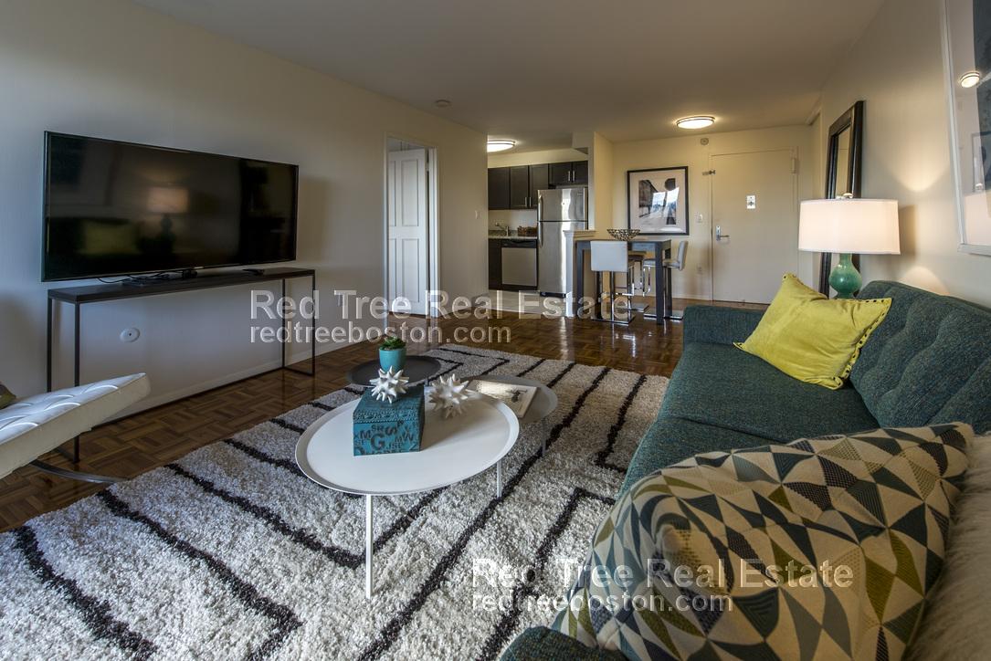 1 bed, 1 bath apartment for rent at 175 Freeman St Unit 601, Brookline — photo 2 of 13