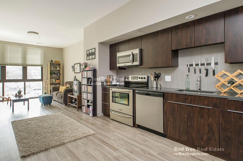 1 bed, 1 bath apartment for rent at 60 Brainerd Rd Unit 514, Allston