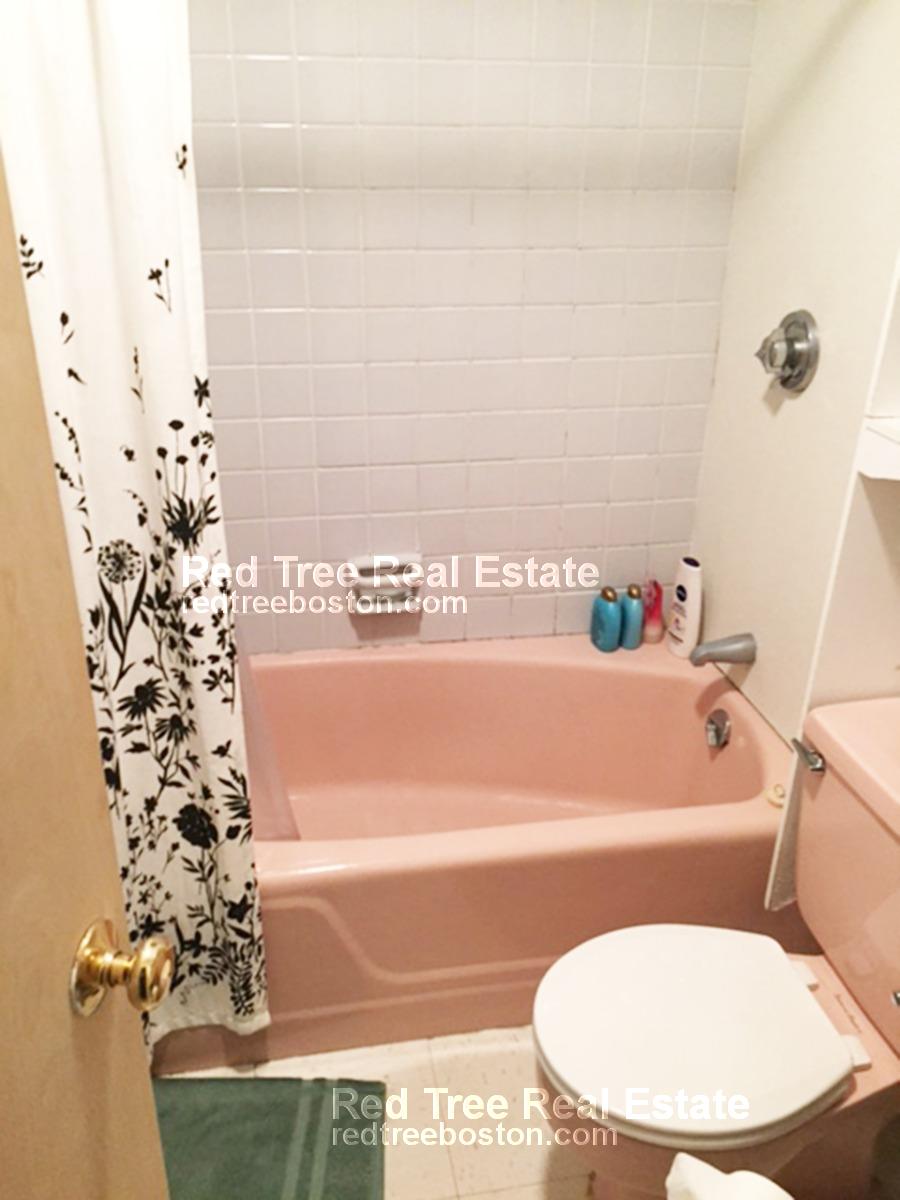 2 bed, 1 bath apartment for rent at 310 Tappan St Unit 2, Brookline — photo 4 of 4
