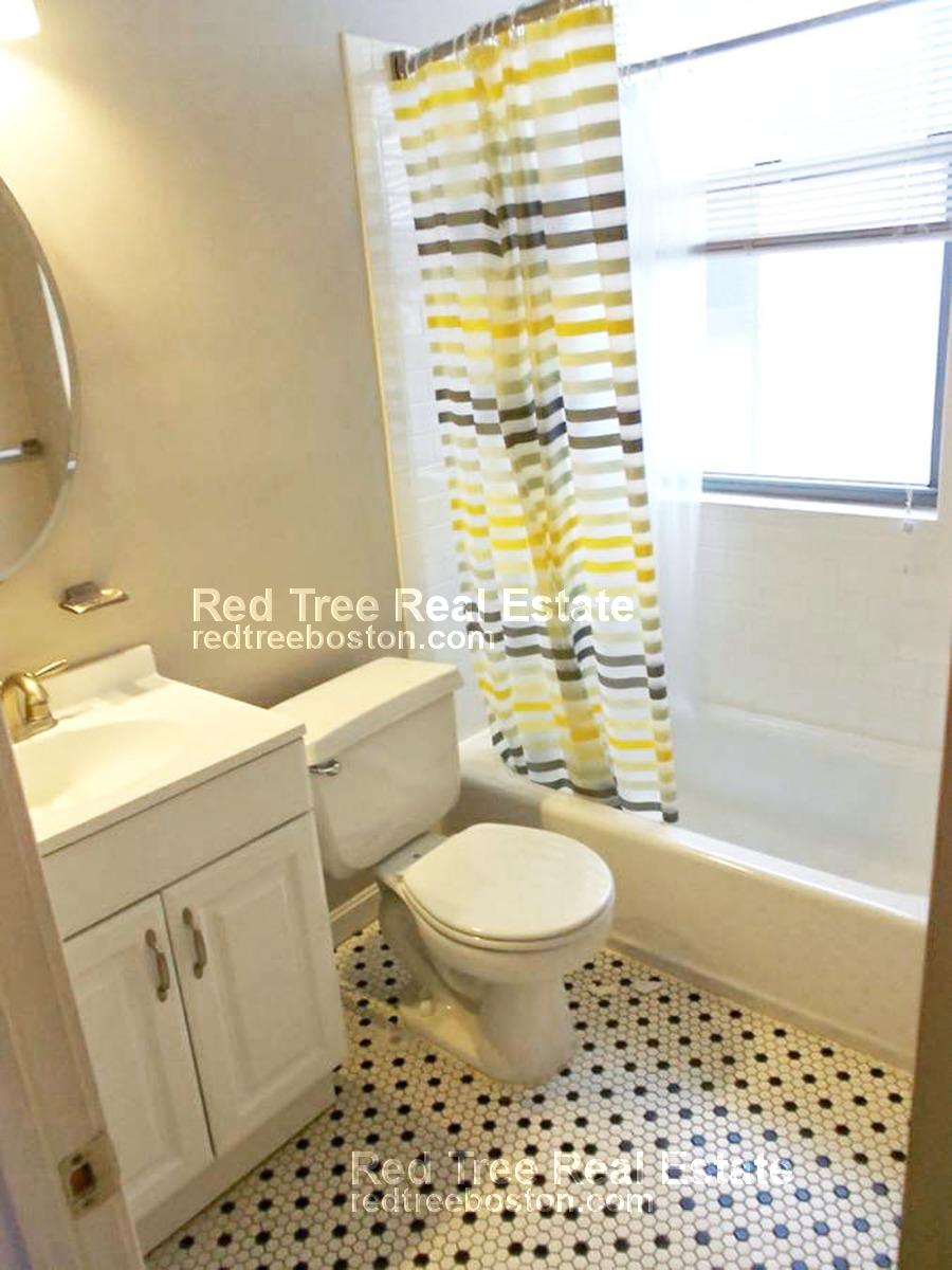 18 Haviland St, Fenway