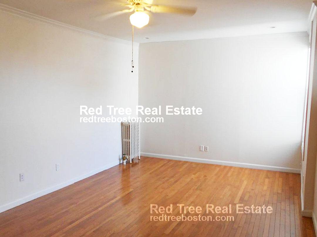 18 Haviland St, Fenway