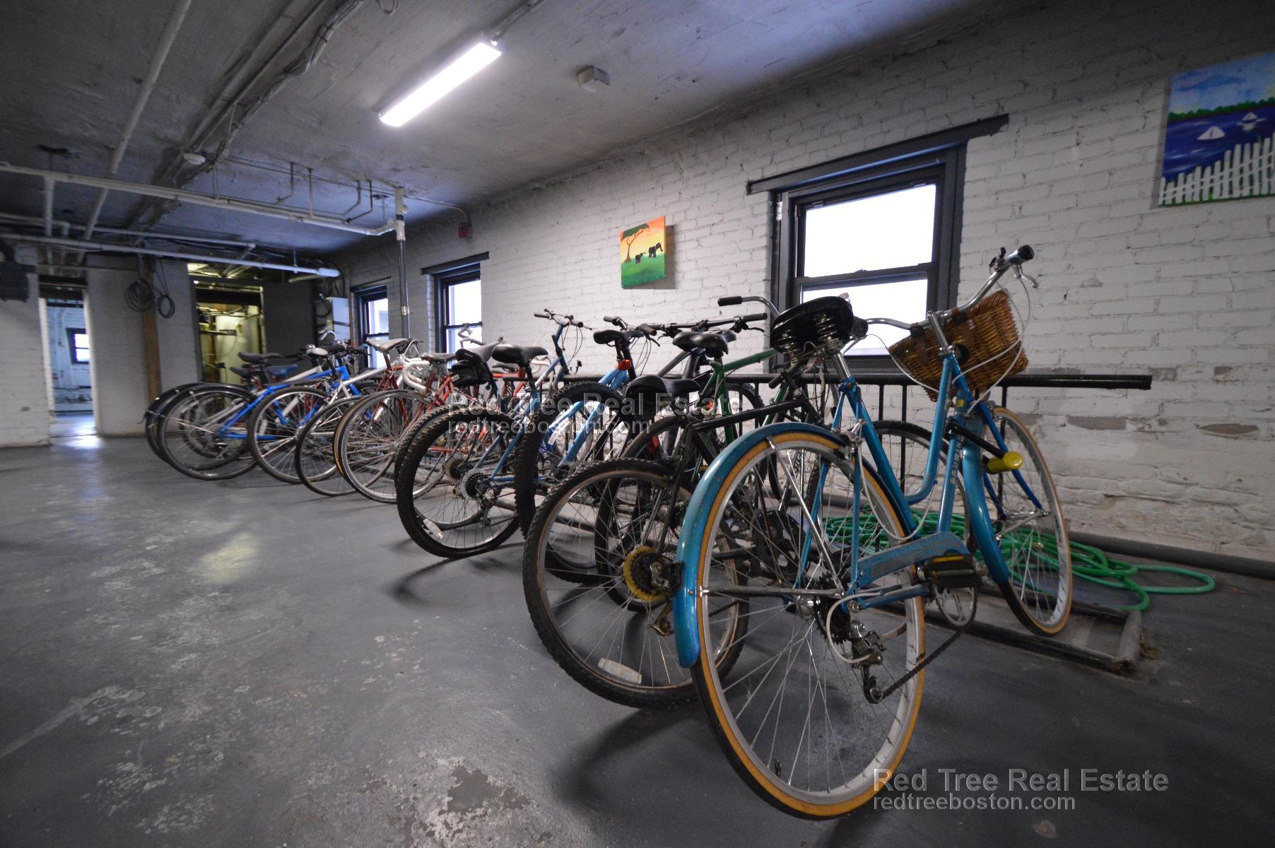 12 Elko St, Brighton