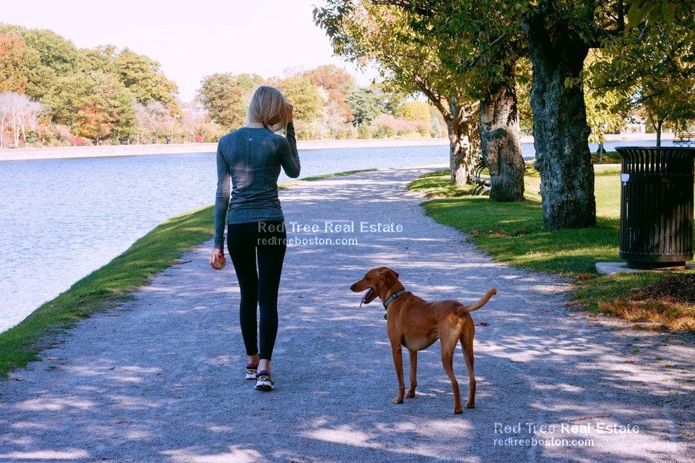 312 Tappan St, Aspinwall Hill