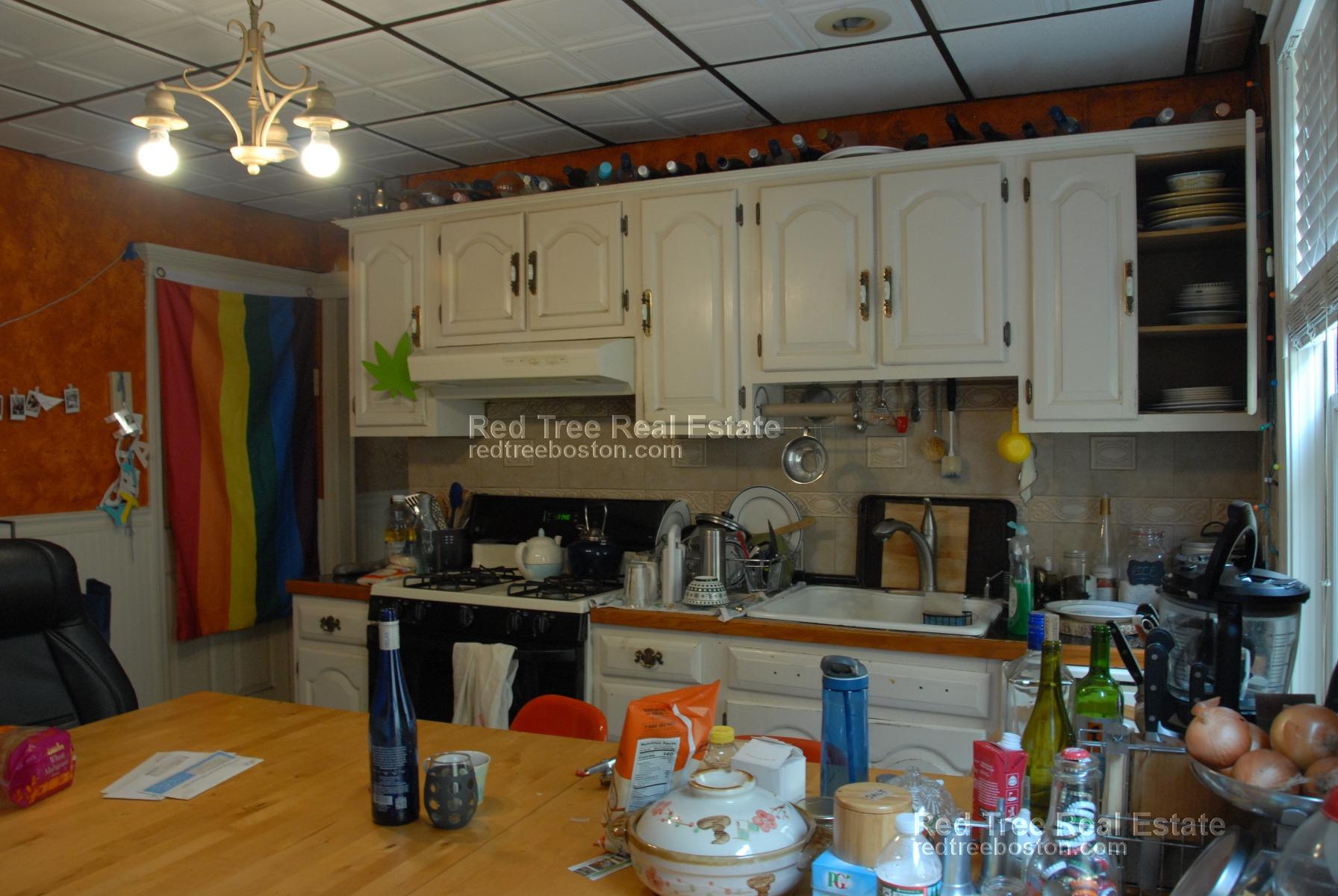17 Harvard Tr, Allston