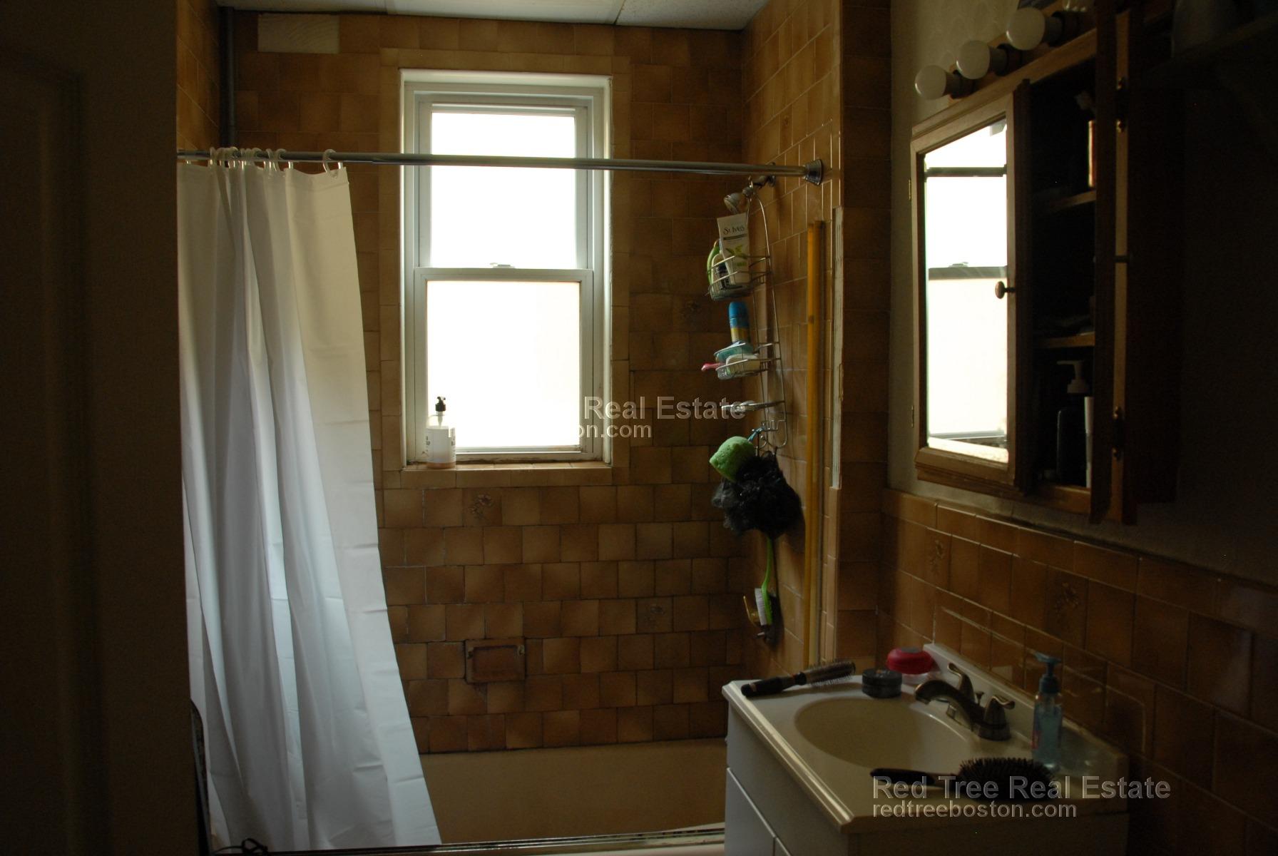 17 Harvard Tr, Allston