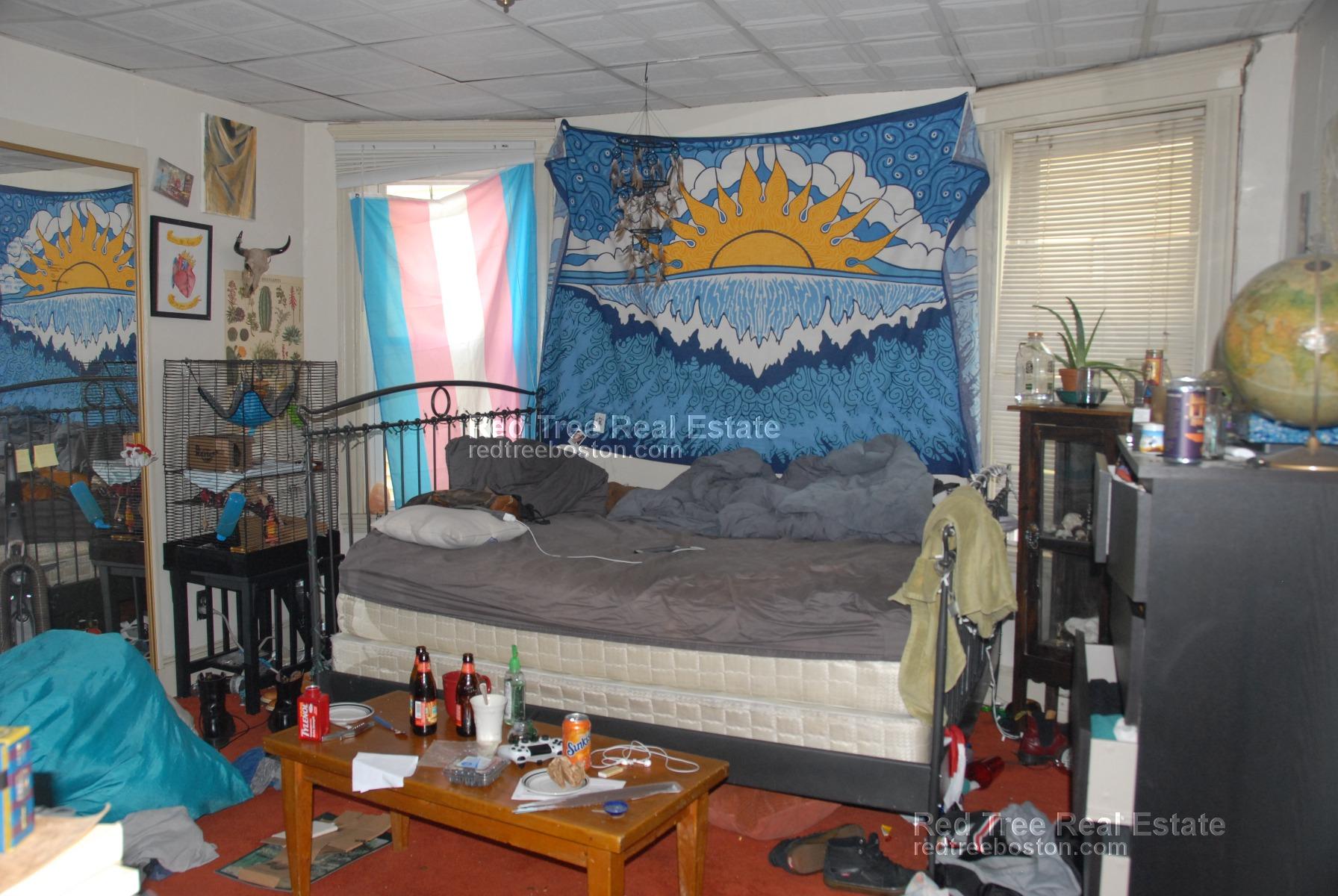 17 Harvard Tr, Allston