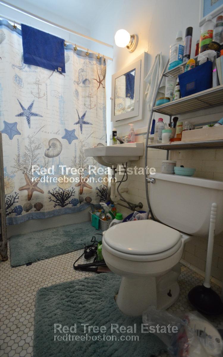 1 bed, 1 bath apartment for rent at 1630 Commonwealth Ave Unit 6, Brighton — photo 4 of 6