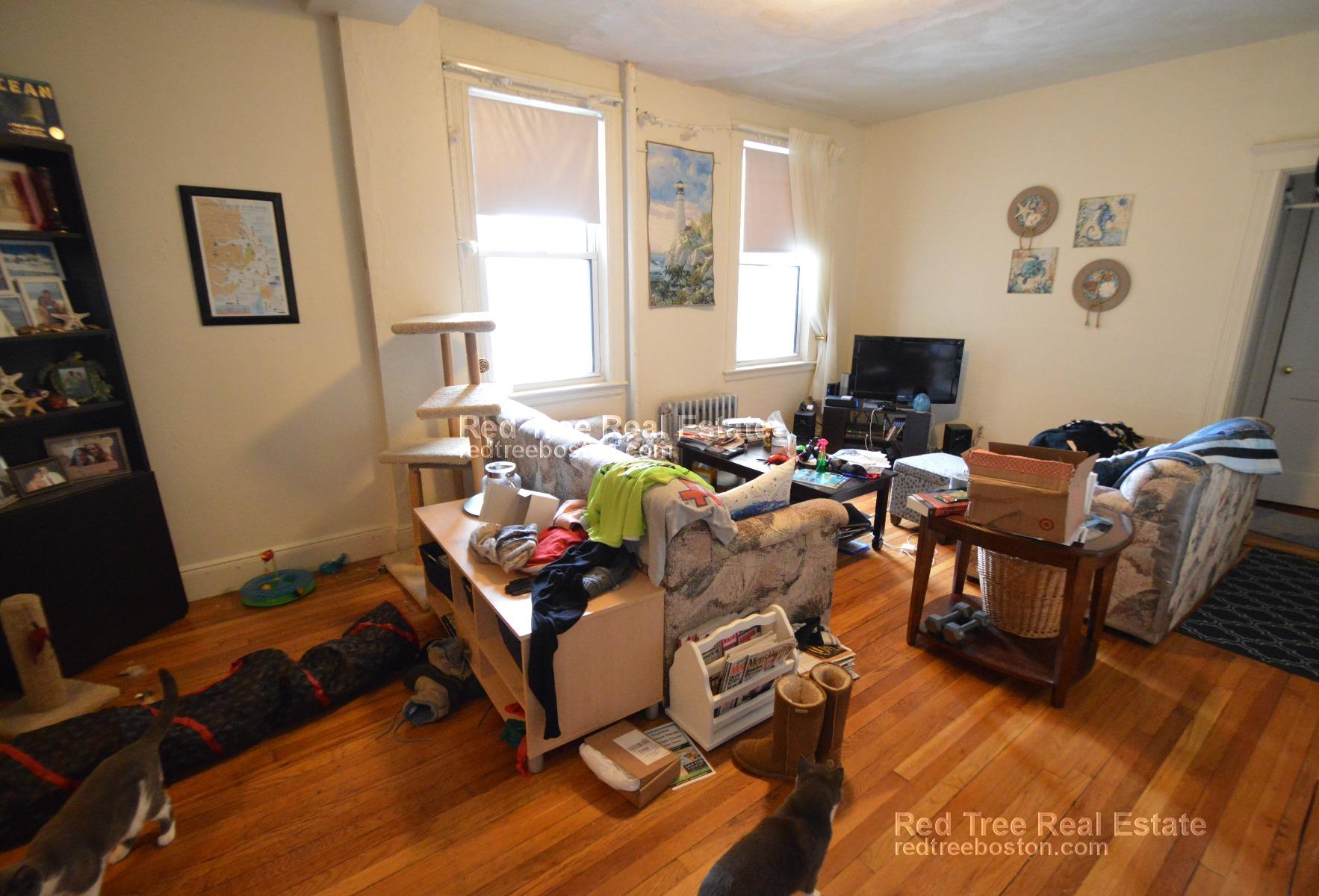 1 bed, 1 bath apartment for rent at 1630 Commonwealth Ave Unit 6, Brighton — photo 3 of 6