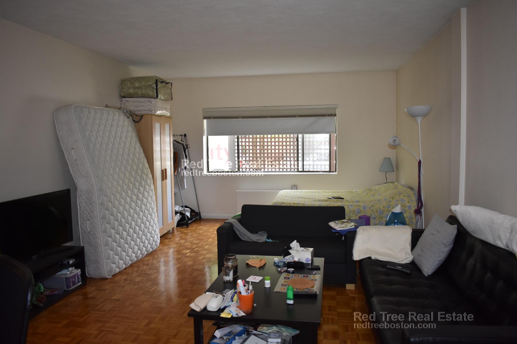 Studio bed, 1 bath apartment for rent at 40 Williams St Unit 101, Brookline — photo 7 of 7