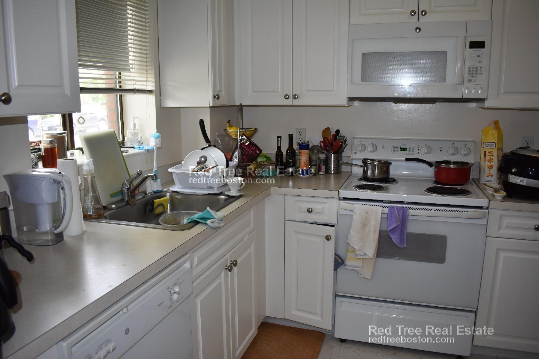 Studio bed, 1 bath apartment for rent at 40 Williams St Unit 101, Brookline