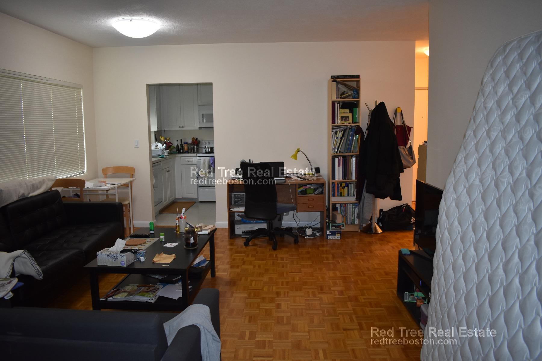 Studio bed, 1 bath apartment for rent at 40 Williams St Unit 101, Brookline — photo 5 of 7