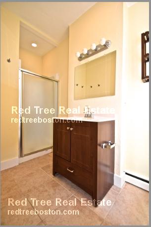 15 Mackin St, Brighton