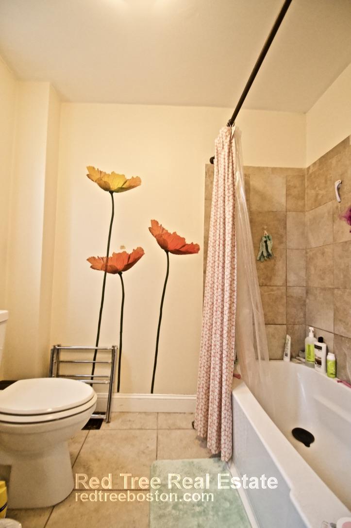 201 Hillside St, Mission Hill