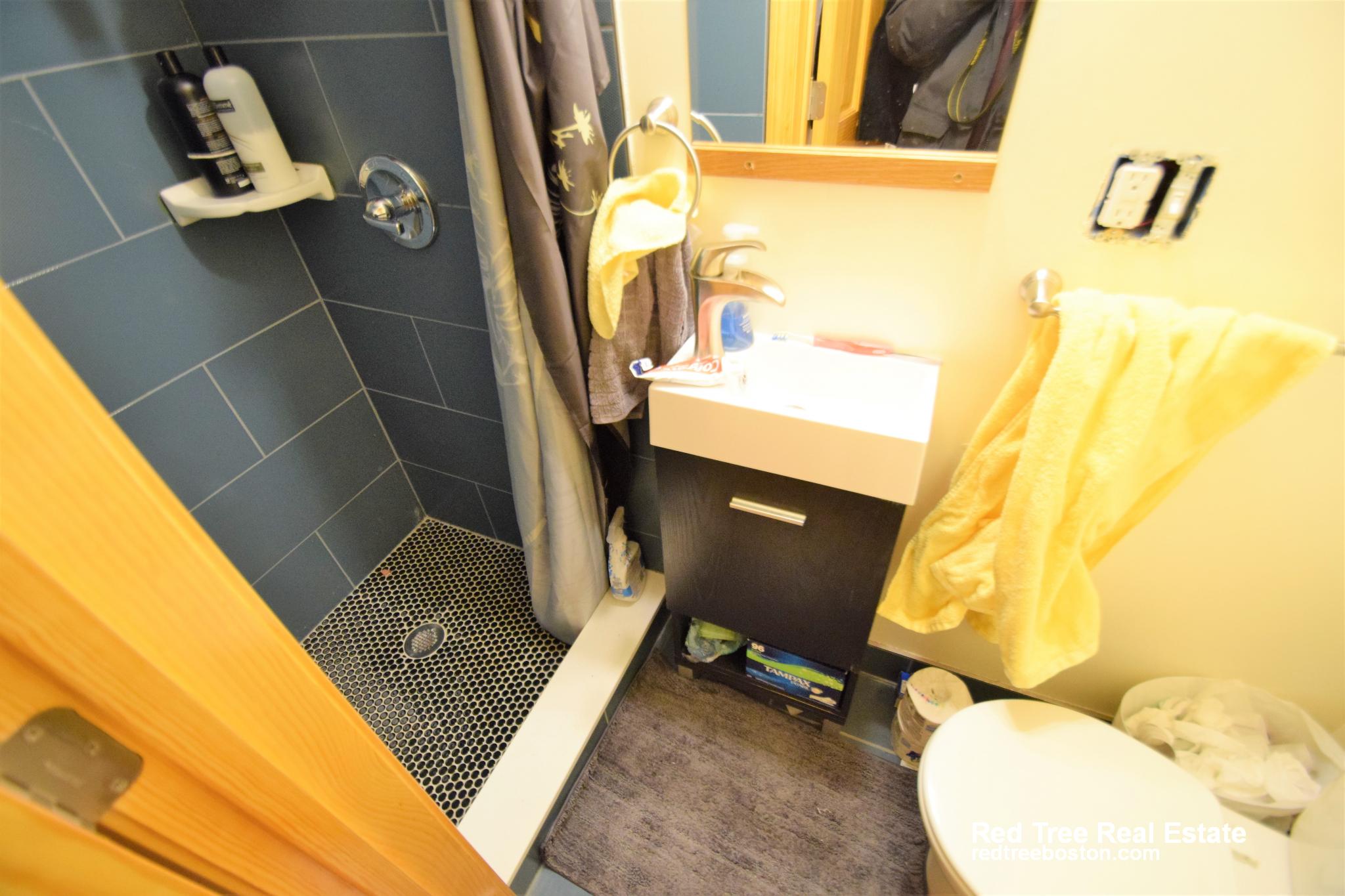 3 bed, 4+ bath apartment for rent at 35 Henshaw St Unit 1, Brighton — photo 11 of 16