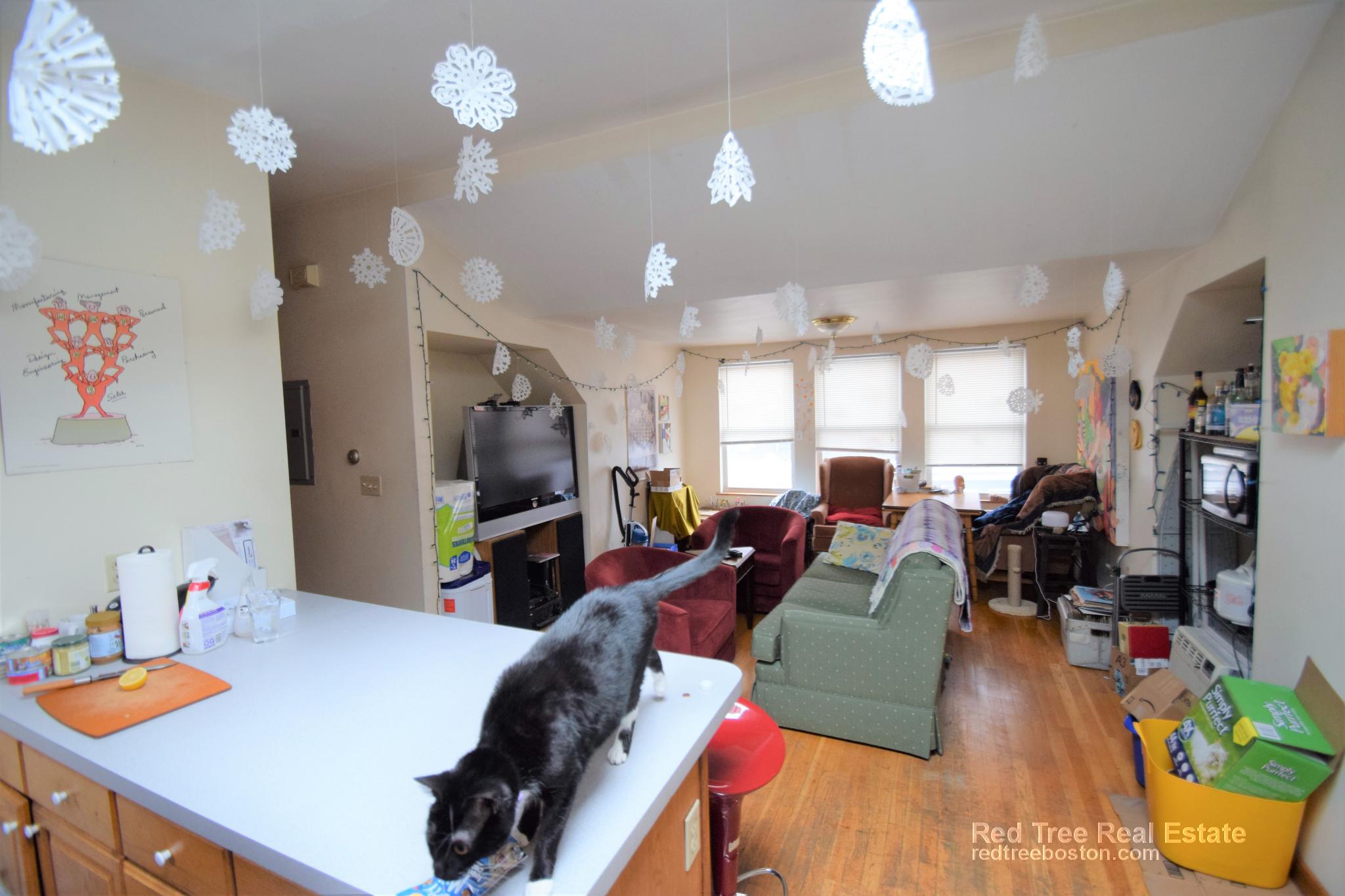 551 Washington St, Brighton