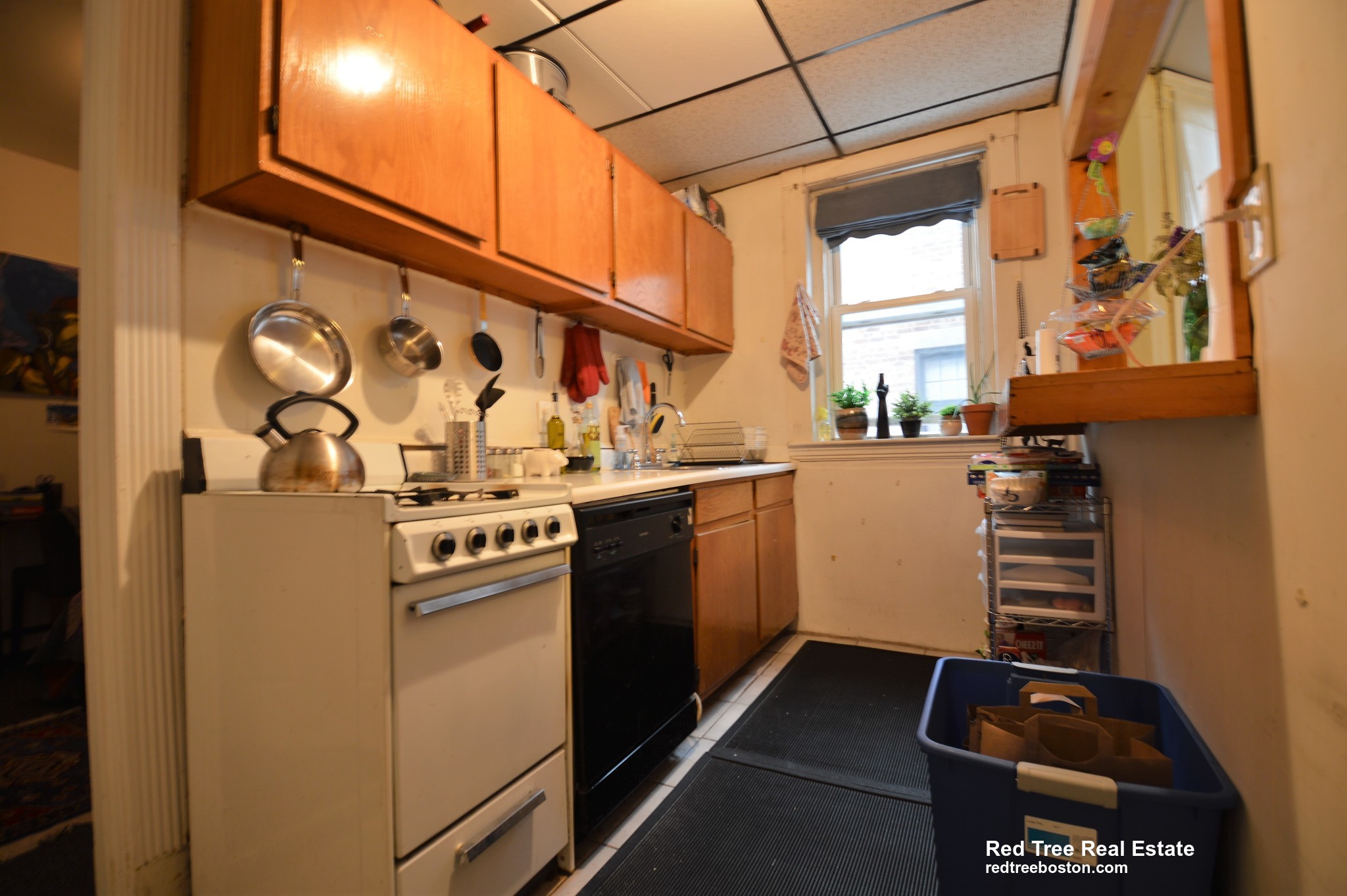 16 Royce Rd, Allston