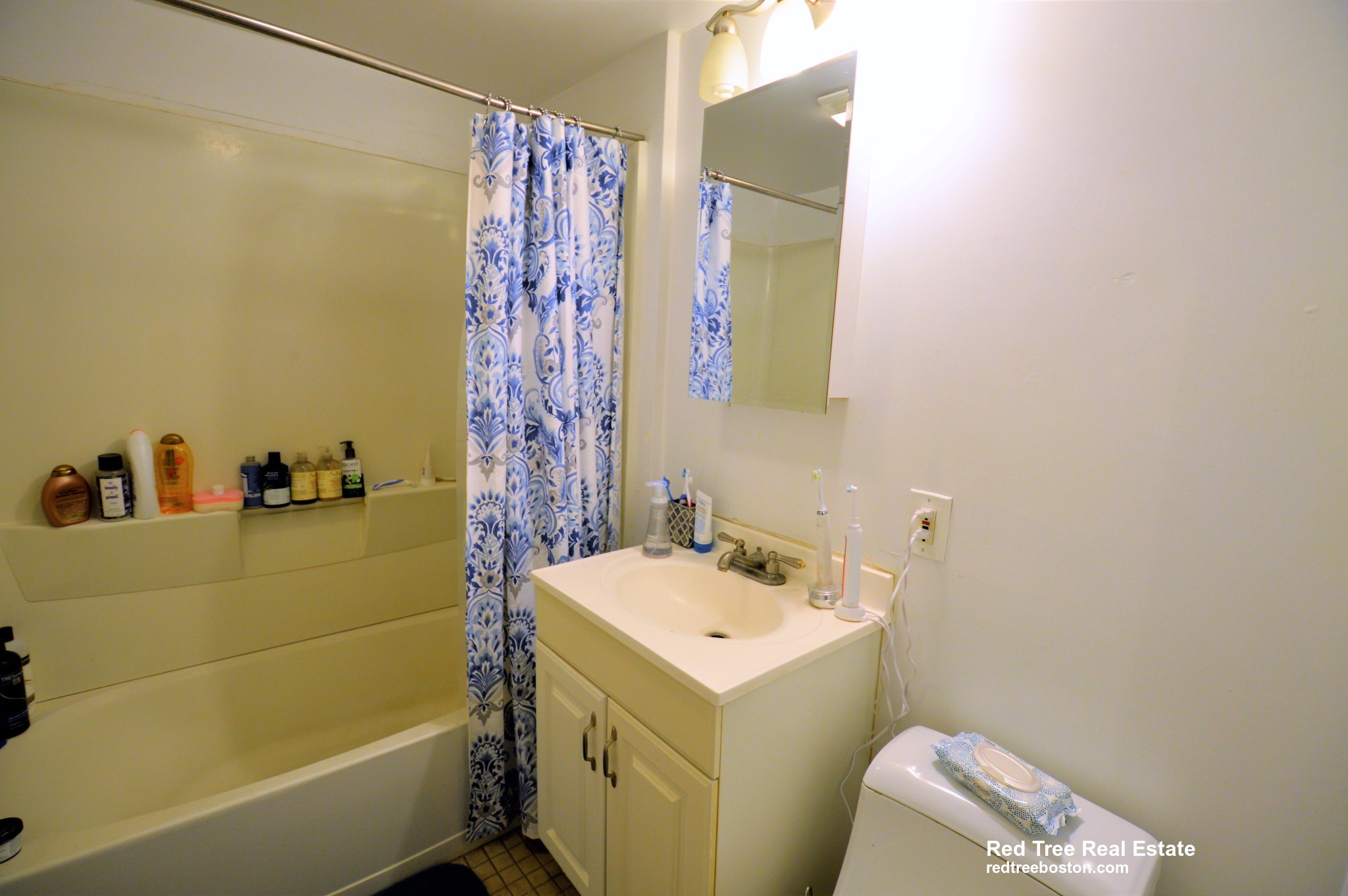 54 Egmont St, North Brookline