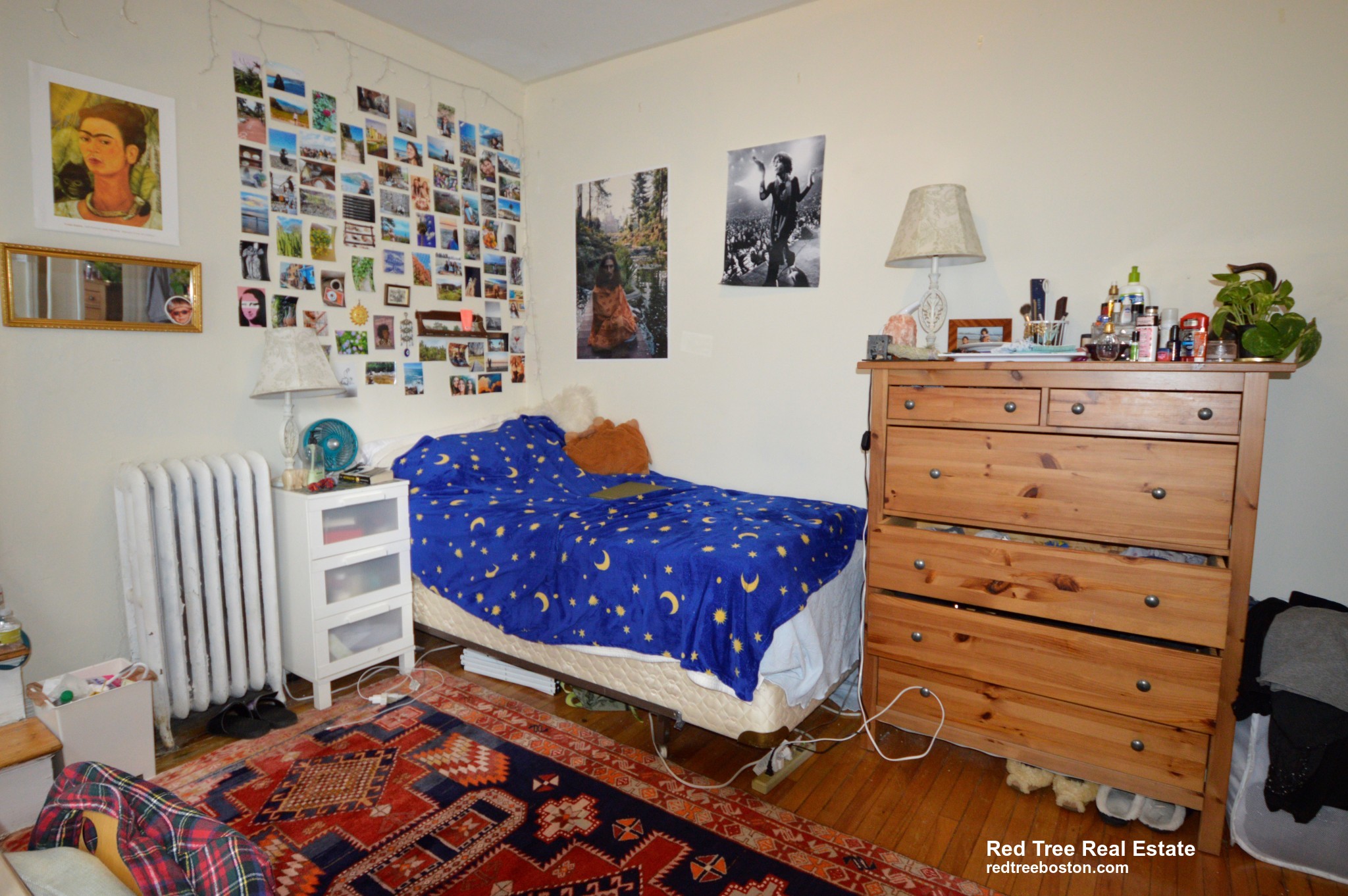 54 Egmont St, North Brookline