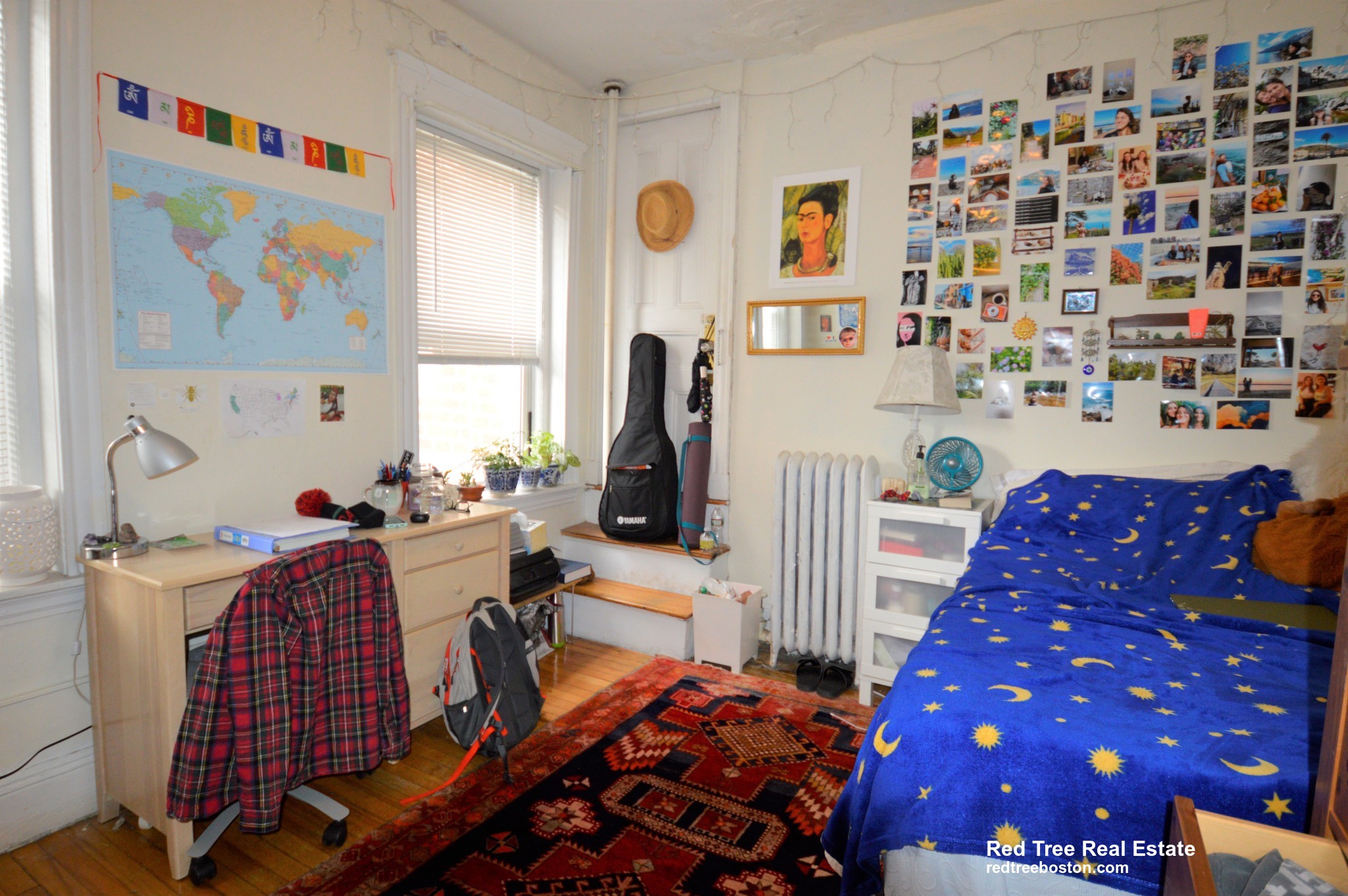 54 Egmont St, North Brookline