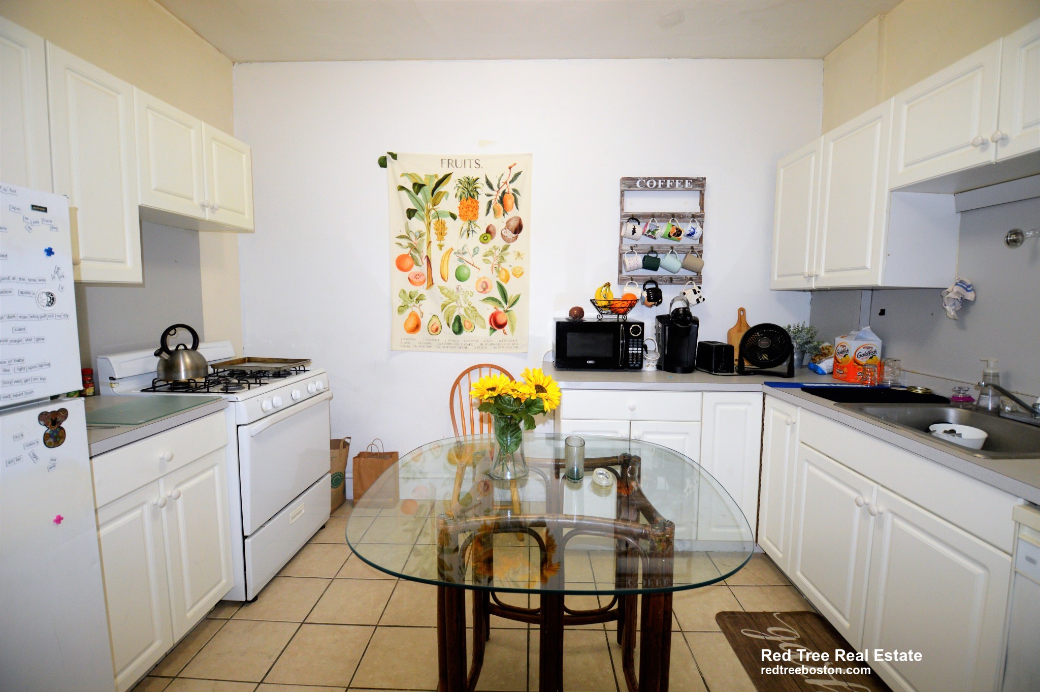 54 Egmont St, North Brookline