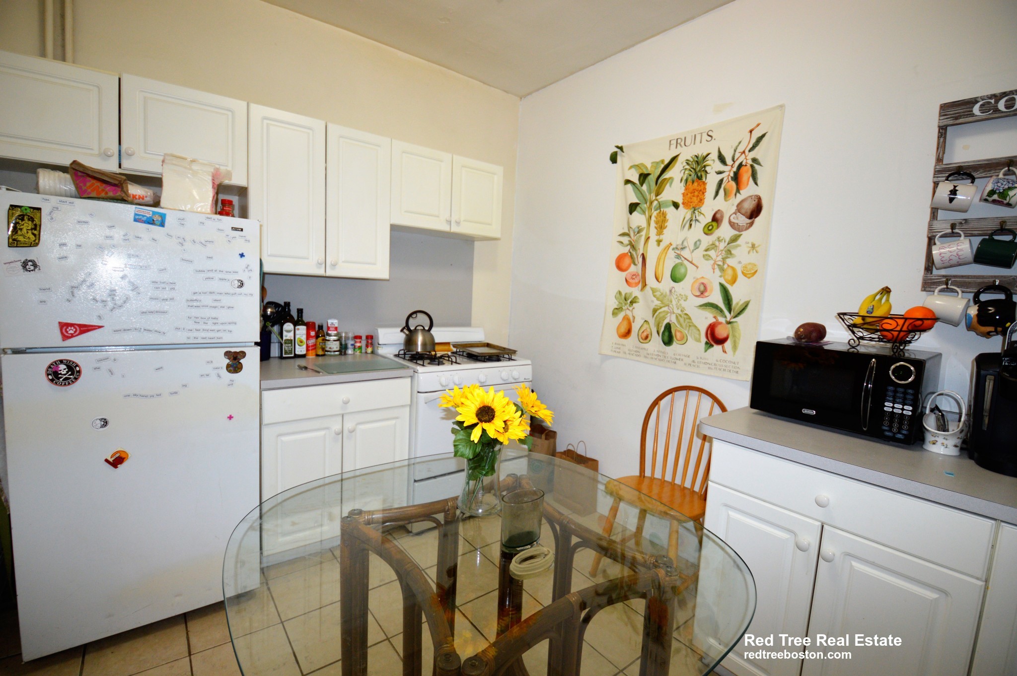 54 Egmont St, North Brookline