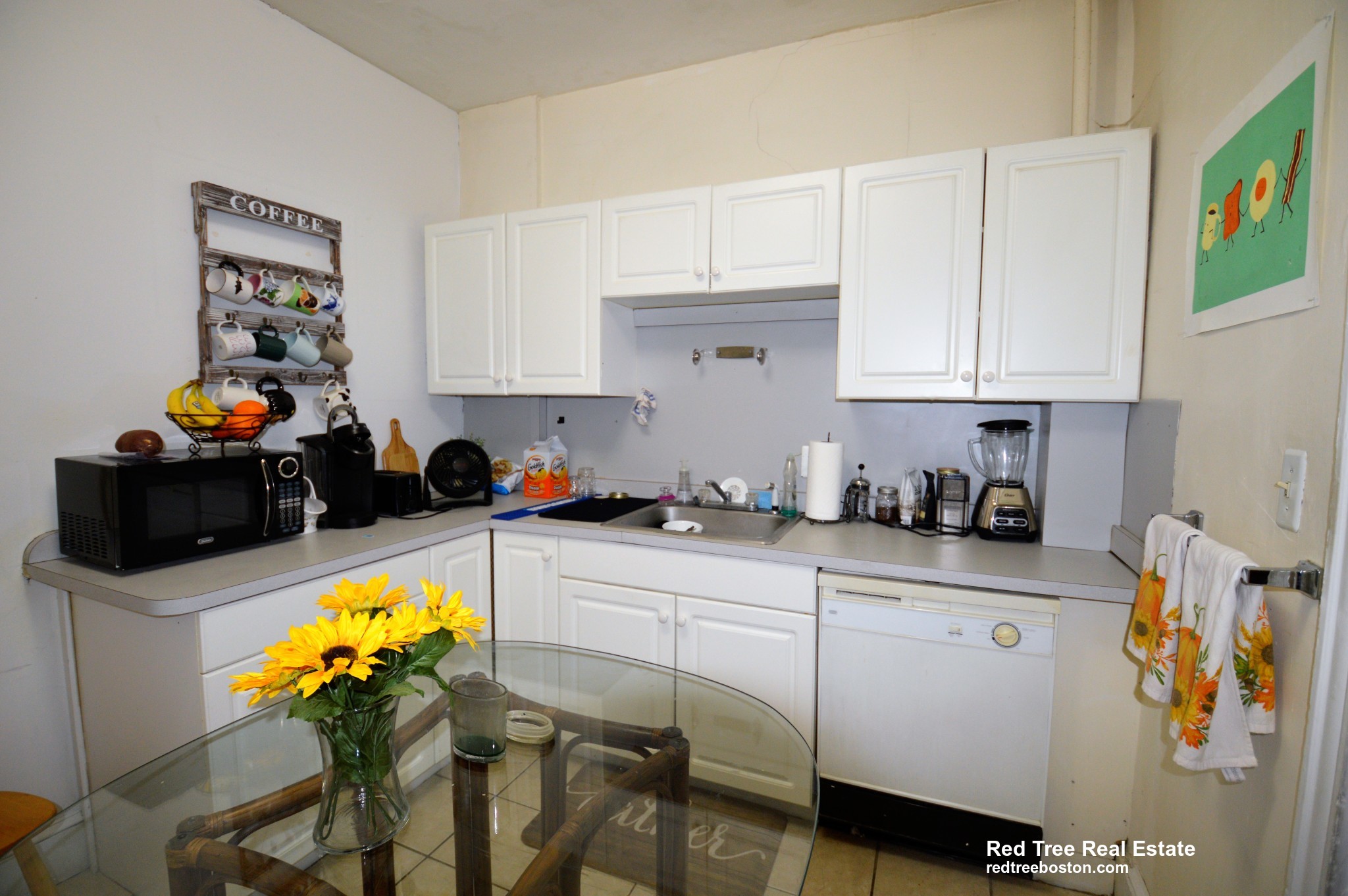 54 Egmont St, North Brookline