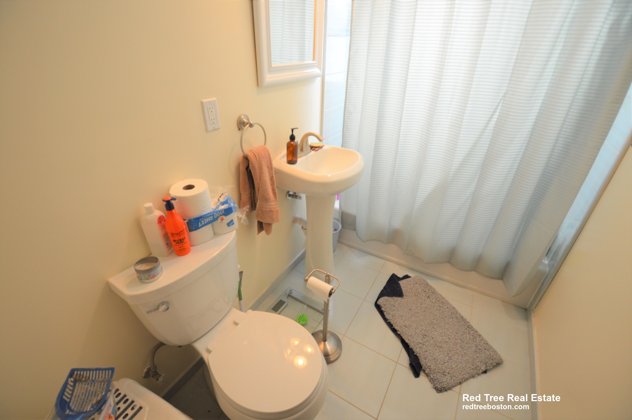 5 Smythe St, Brookline Hills