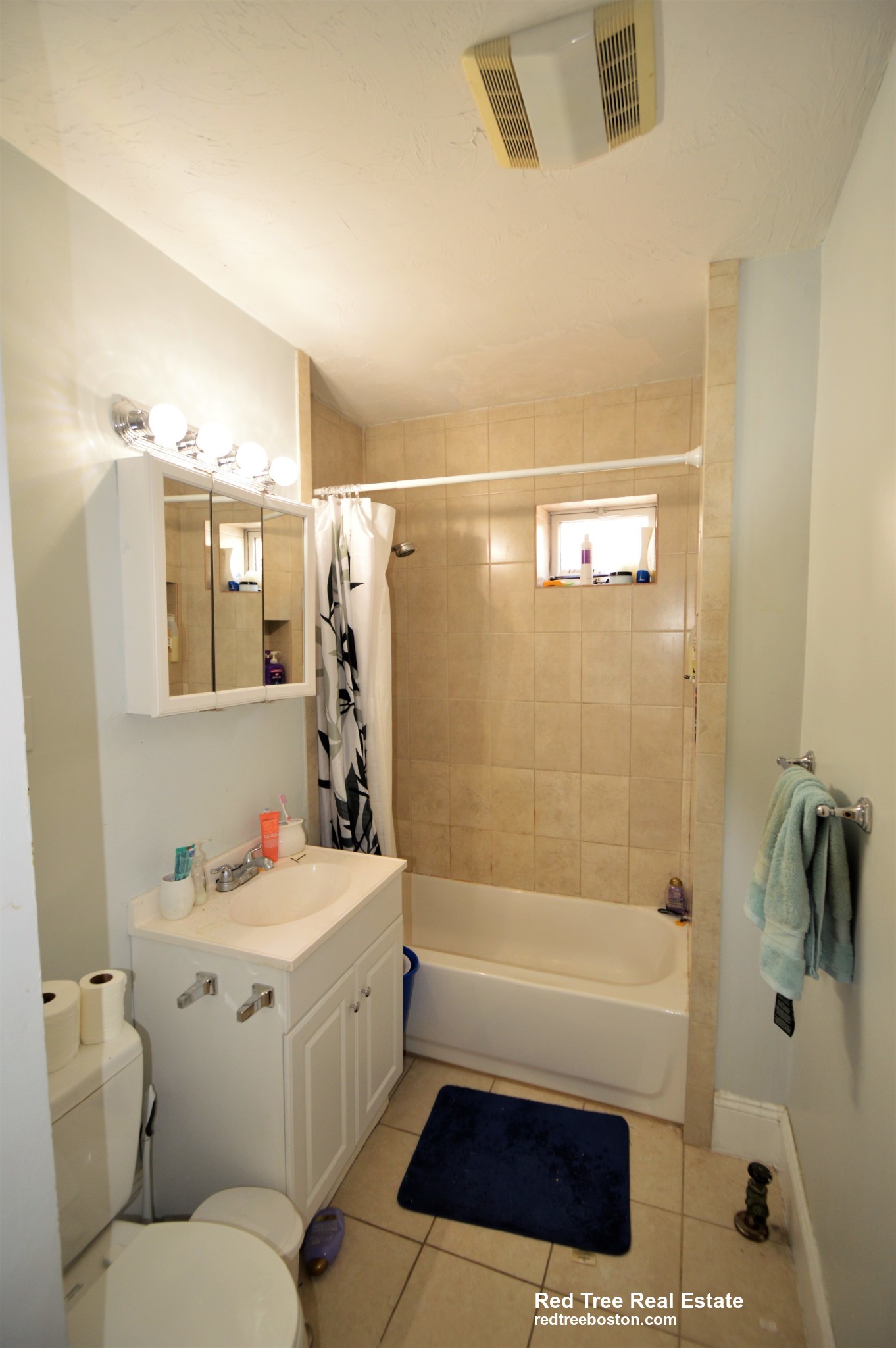 83 Glenville Ave, Brighton