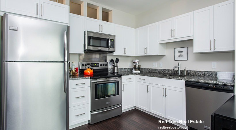 1 bed, 1 bath apartment for rent at 75 Brainerd Rd Unit 428, Allston — photo 2 of 30