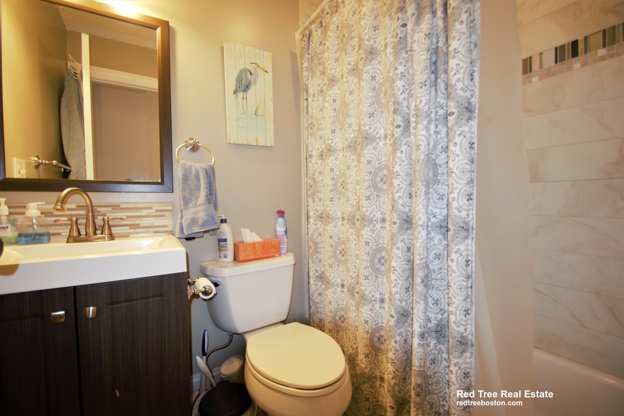 11 Babcock St, North Brookline