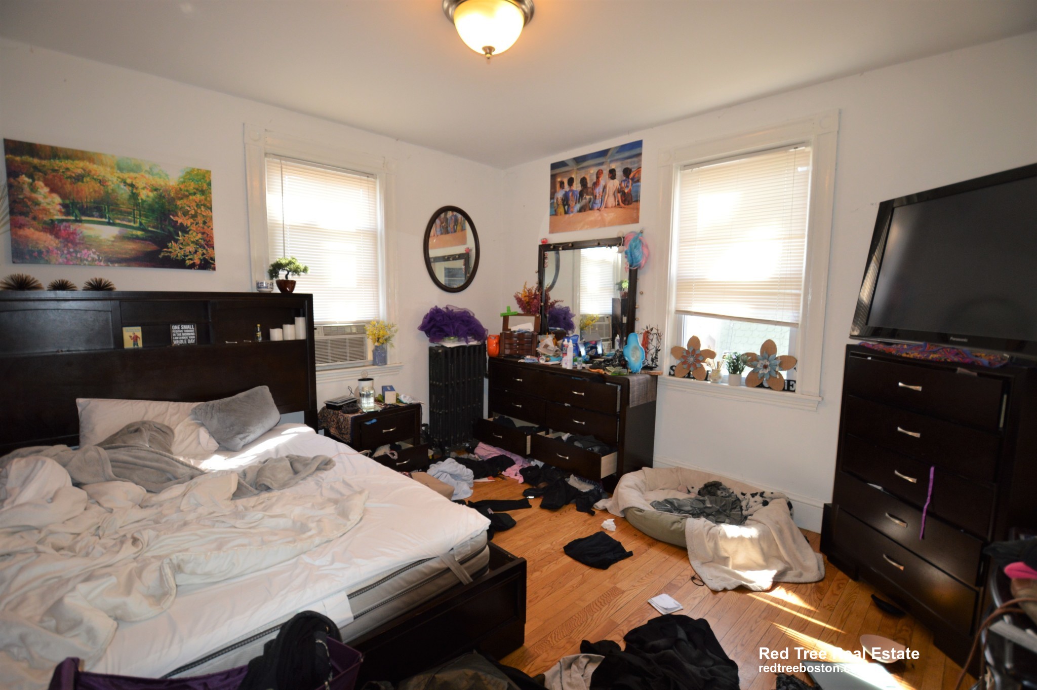 5 Murdock Ter, Brighton