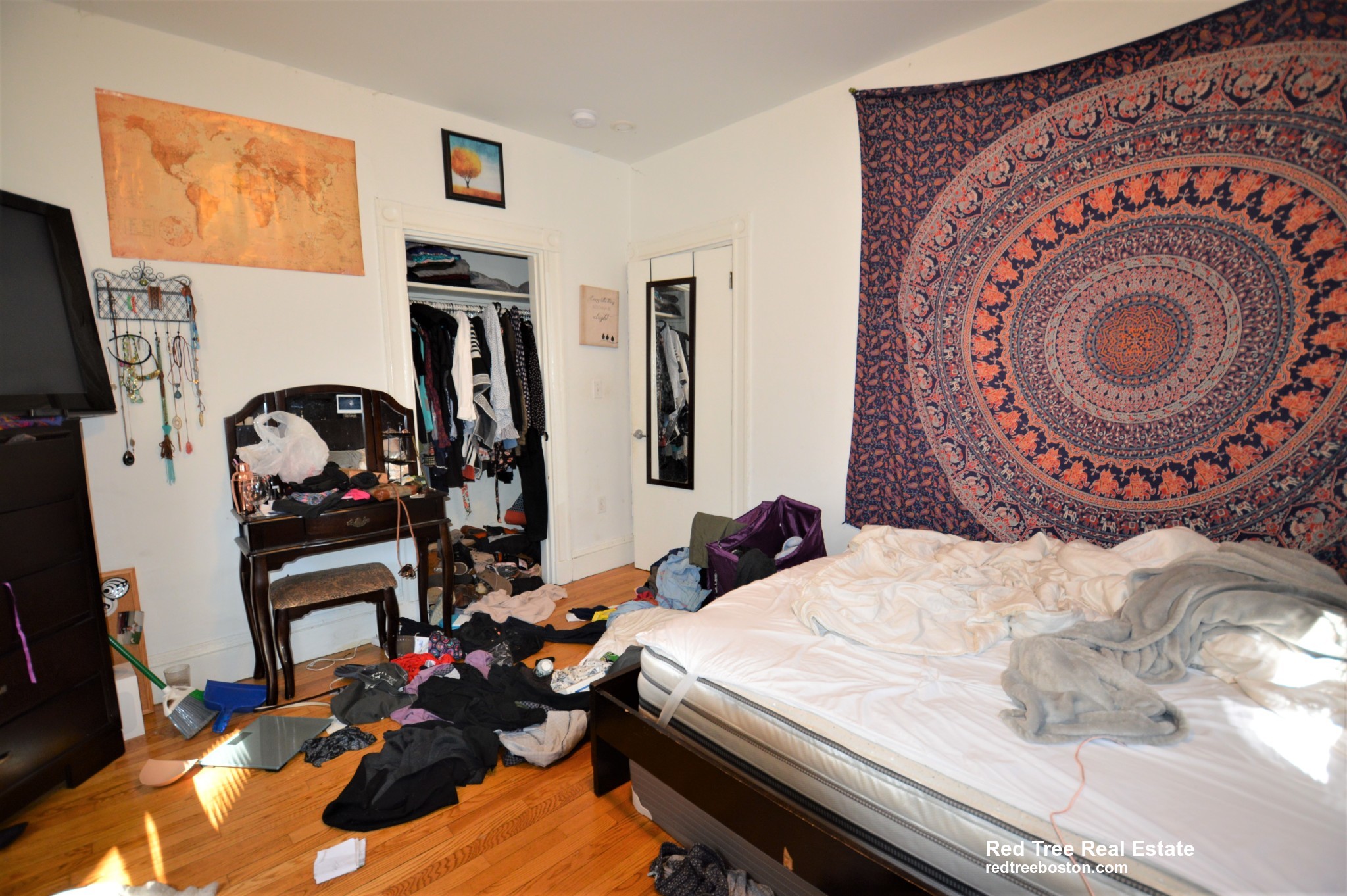 5 Murdock Ter, Brighton