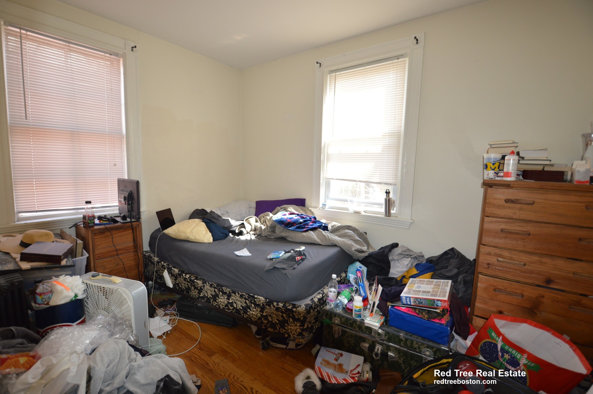 5 Murdock Ter, Brighton