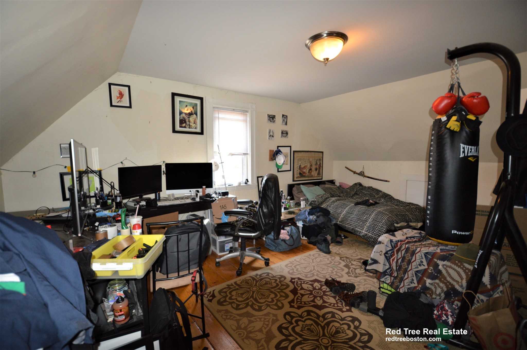 5 Murdock Ter, Brighton