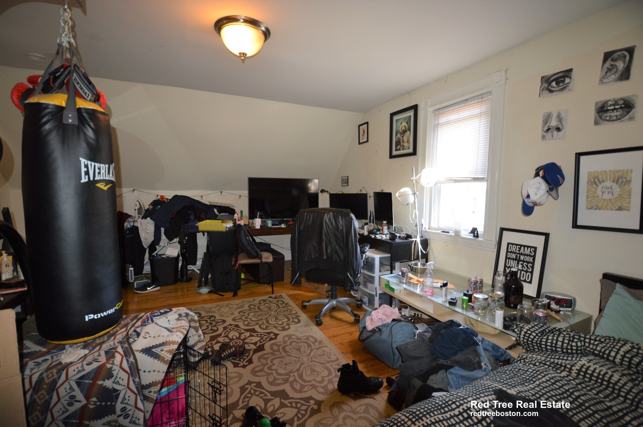 5 Murdock Ter, Brighton