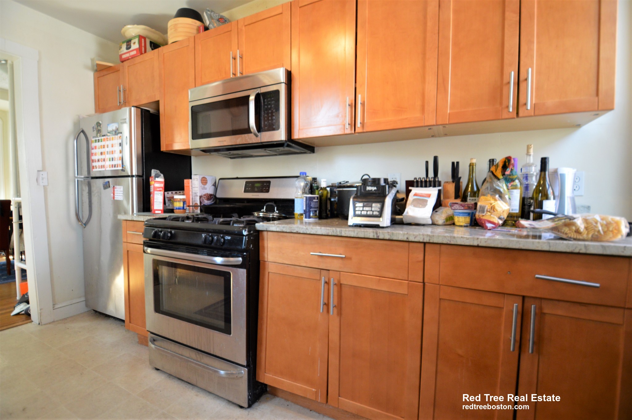 5 Murdock Ter, Brighton