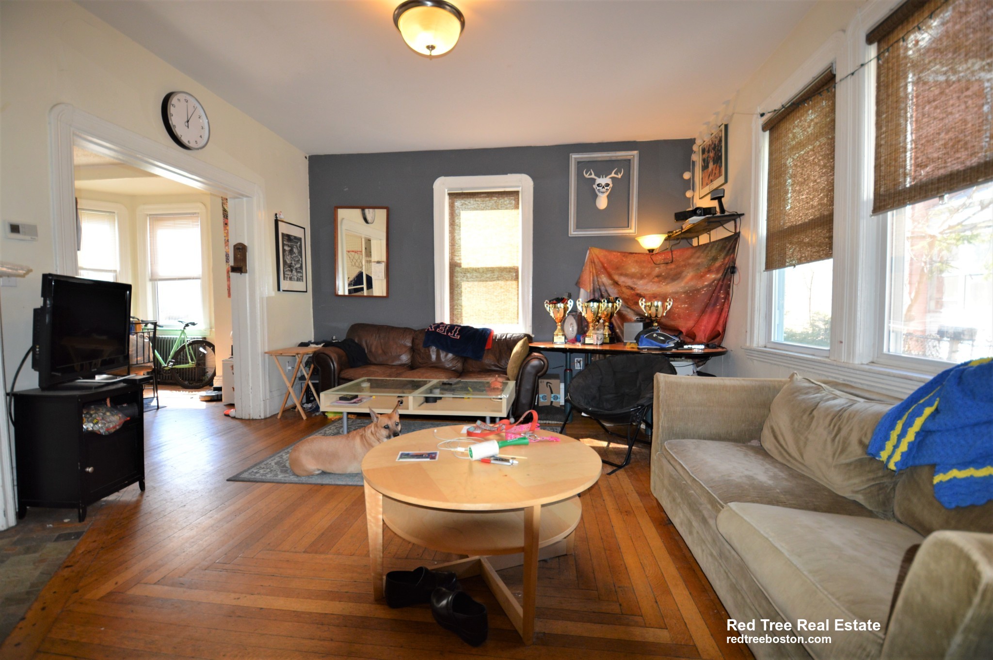 5 Murdock Ter, Brighton